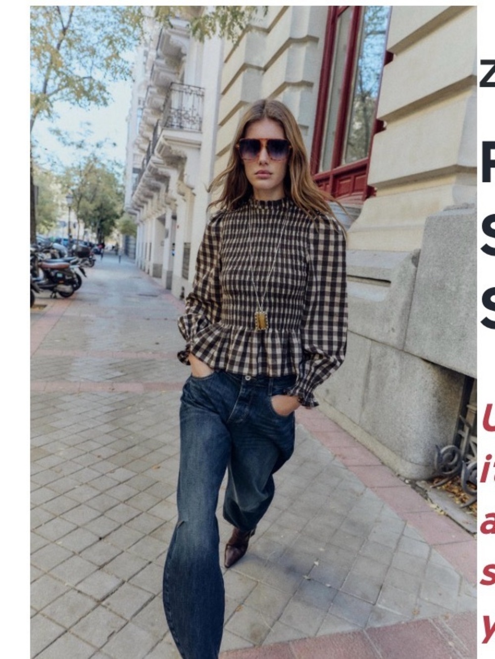 Zara Gingham Peplum Long-Sleeve Top in Brown and Cream